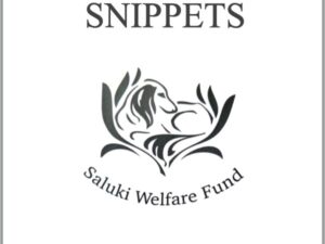 Saluki Snippets