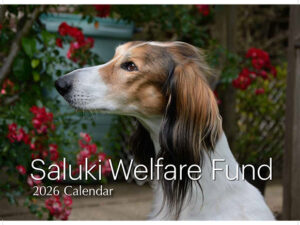 Saluki Welfare Fund 2026 Calendar